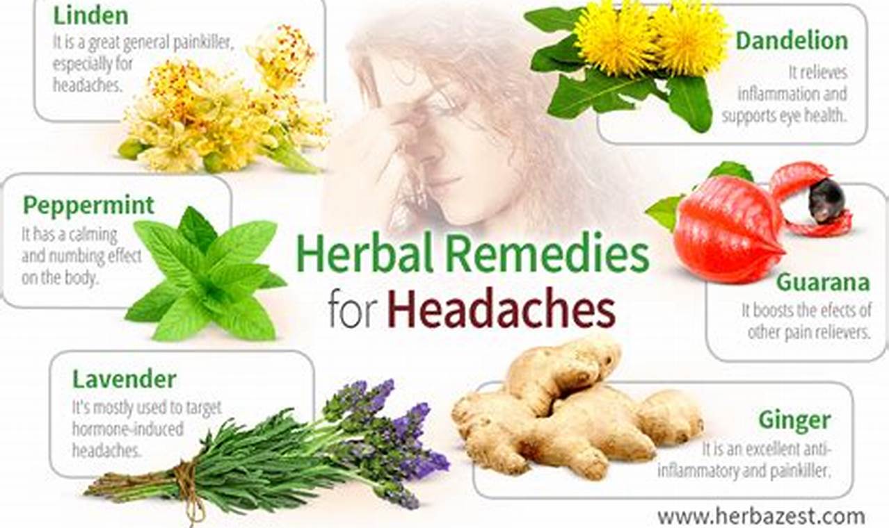 Natural Relief: Herbal Remedies for Cluster Headaches Today | The Ultimate Herbal Remedies Guide: Natural Healing for a Healthier Life