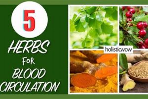 Boost Your Flow: Circulation Herbal Remedies Guide | The Ultimate Herbal Remedies Guide: Natural Healing for a Healthier Life