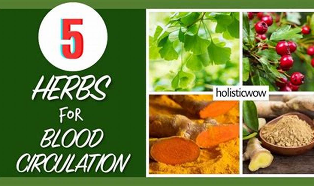 Boost Your Flow: Circulation Herbal Remedies Guide The Ultimate Herbal Remedies Guide: Natural Healing for a Healthier Life Boost Your Flow: Circulation Herbal Remedies Guide | The Ultimate Herbal Remedies Guide: Natural Healing for a Healthier Life