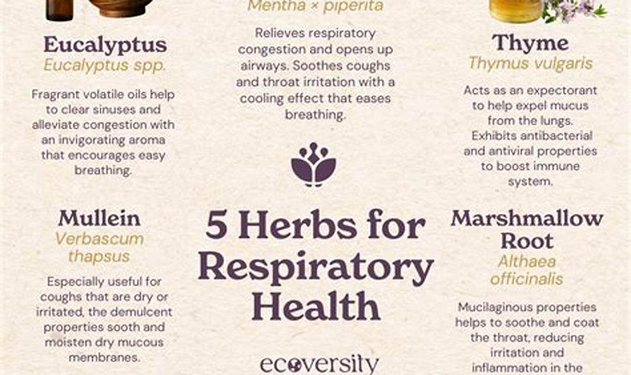 Natural Herbal Remedy for Congestion Relief Today The Ultimate Herbal Remedies Guide: Natural Healing for a Healthier Life Natural Herbal Remedy for Congestion Relief Today | The Ultimate Herbal Remedies Guide: Natural Healing for a Healthier Life