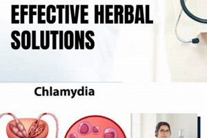 Natural Boost: Herbal Treatment for Chlamydia Relief Guide | The Ultimate Herbal Remedies Guide: Natural Healing for a Healthier Life