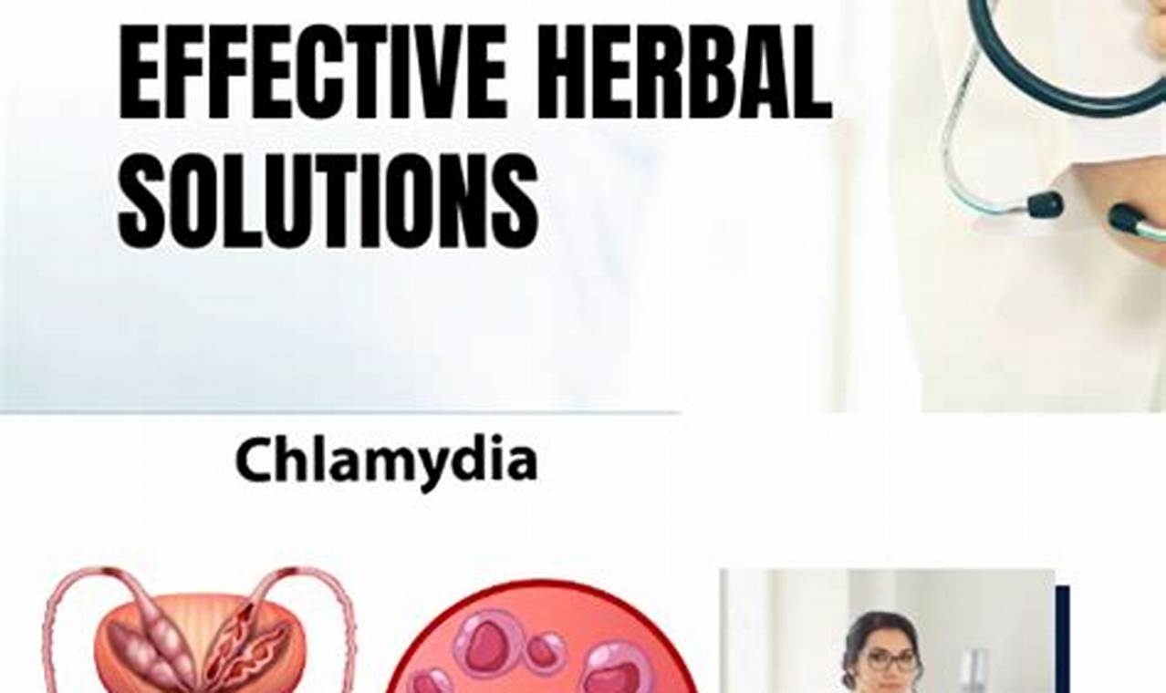 Natural Boost: Herbal Treatment for Chlamydia Relief Guide The Ultimate Herbal Remedies Guide: Natural Healing for a Healthier Life Natural Boost: Herbal Treatment for Chlamydia Relief Guide | The Ultimate Herbal Remedies Guide: Natural Healing for a Healthier Life