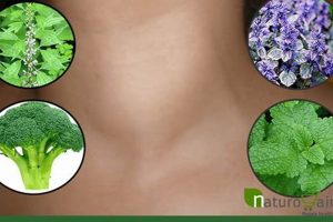 Natural Hyperthyroidism Herbal Remedies: Relief + Risks | The Ultimate Herbal Remedies Guide: Natural Healing for a Healthier Life