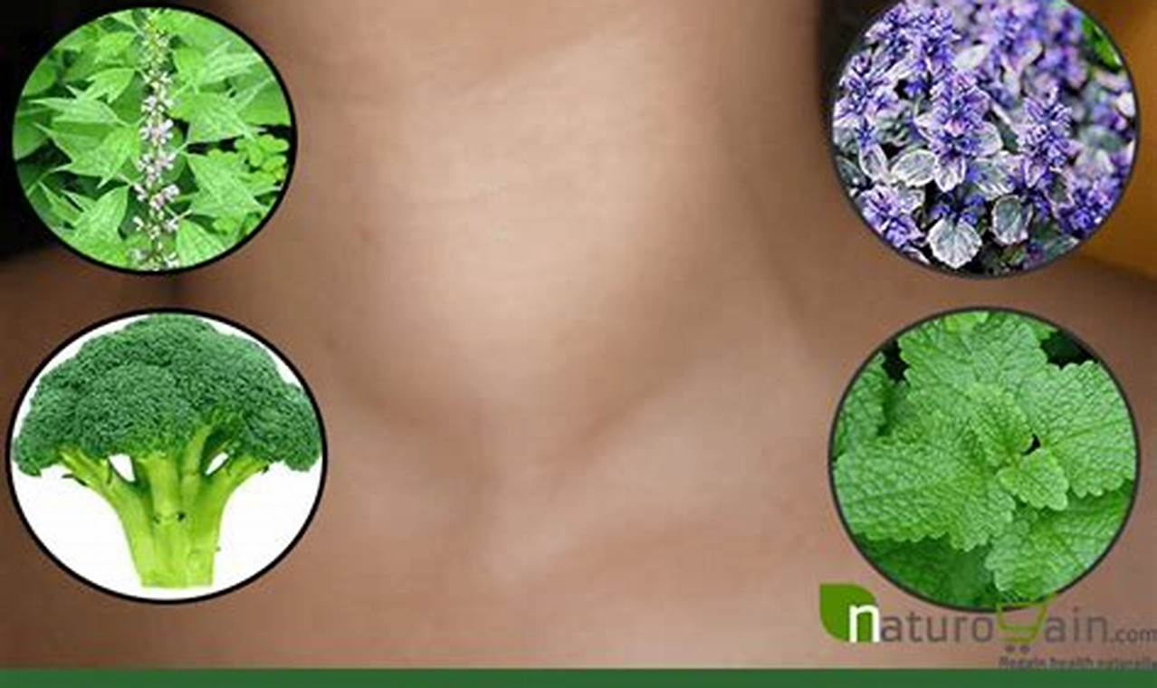 Natural Hyperthyroidism Herbal Remedies: Relief + Risks The Ultimate Herbal Remedies Guide: Natural Healing for a Healthier Life Natural Hyperthyroidism Herbal Remedies: Relief + Risks | The Ultimate Herbal Remedies Guide: Natural Healing for a Healthier Life