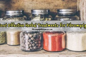 Natural Fibromyalgia Herbal Treatment Guide Today The Ultimate Herbal Remedies Guide: Natural Healing for a Healthier Life Natural Fibromyalgia Herbal Treatment Guide Today | The Ultimate Herbal Remedies Guide: Natural Healing for a Healthier Life