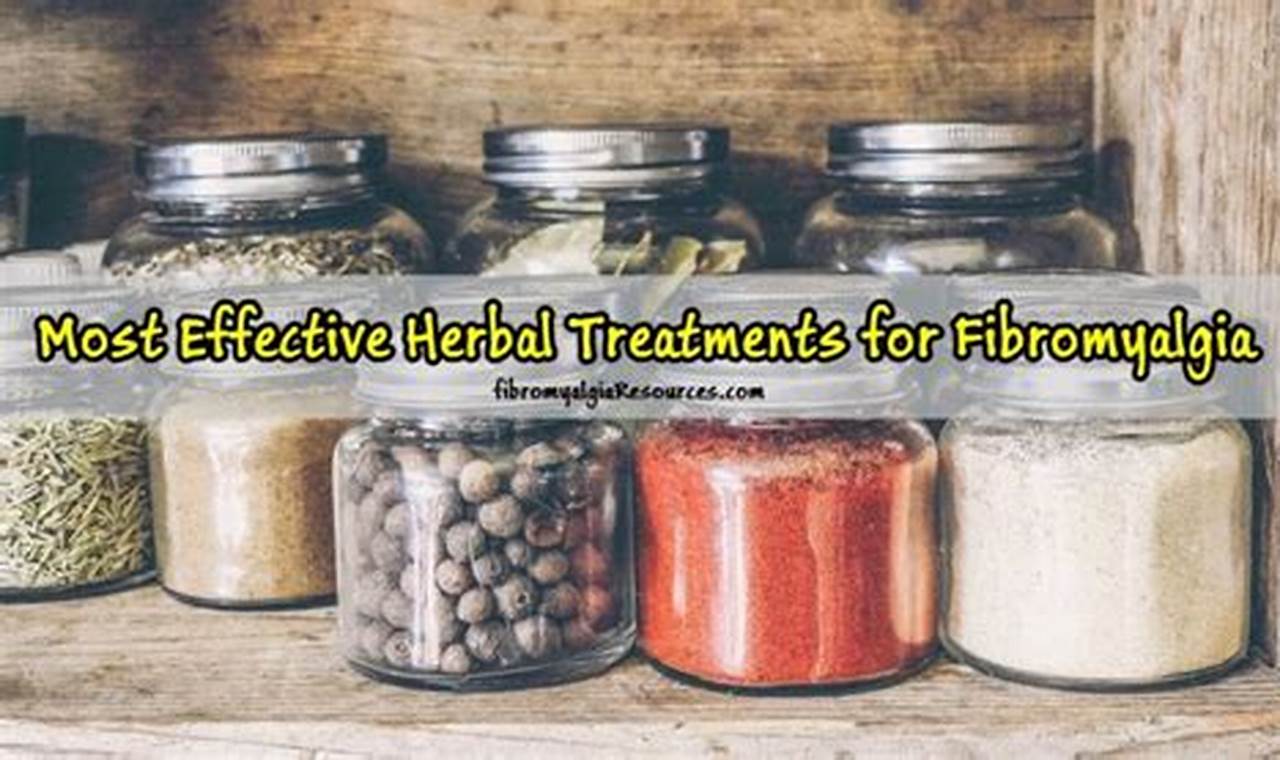 Natural Fibromyalgia Herbal Treatment Guide Today The Ultimate Herbal Remedies Guide: Natural Healing for a Healthier Life Natural Fibromyalgia Herbal Treatment Guide Today | The Ultimate Herbal Remedies Guide: Natural Healing for a Healthier Life