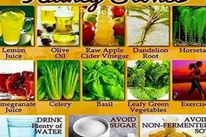 Best Herbal Remedy for Kidney Stones Relief Guide | The Ultimate Herbal Remedies Guide: Natural Healing for a Healthier Life