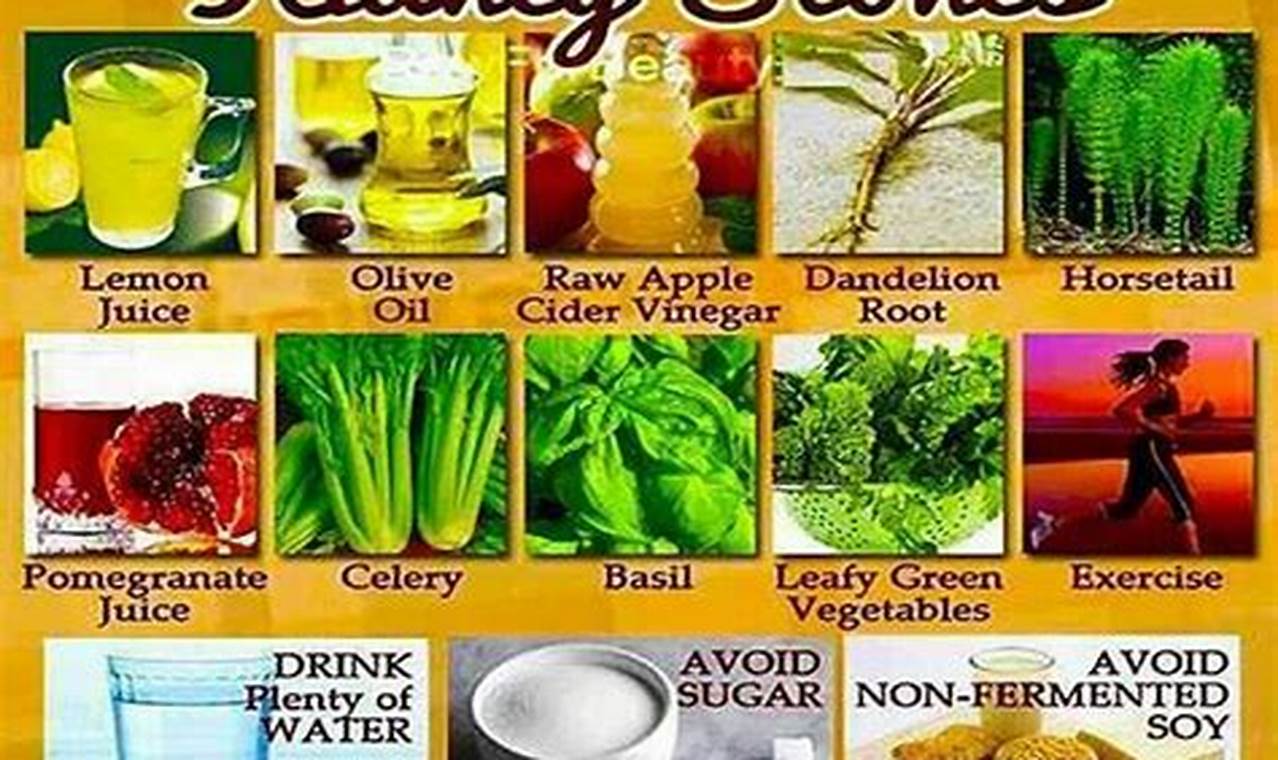 Best Herbal Remedy for Kidney Stones Relief Guide The Ultimate Herbal Remedies Guide: Natural Healing for a Healthier Life Best Herbal Remedy for Kidney Stones Relief Guide | The Ultimate Herbal Remedies Guide: Natural Healing for a Healthier Life