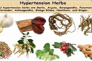 Natural Herbal Treatment for Hypertension Relief | The Ultimate Herbal Remedies Guide: Natural Healing for a Healthier Life