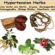 Natural Herbal Treatment for Hypertension Relief | The Ultimate Herbal Remedies Guide: Natural Healing for a Healthier Life