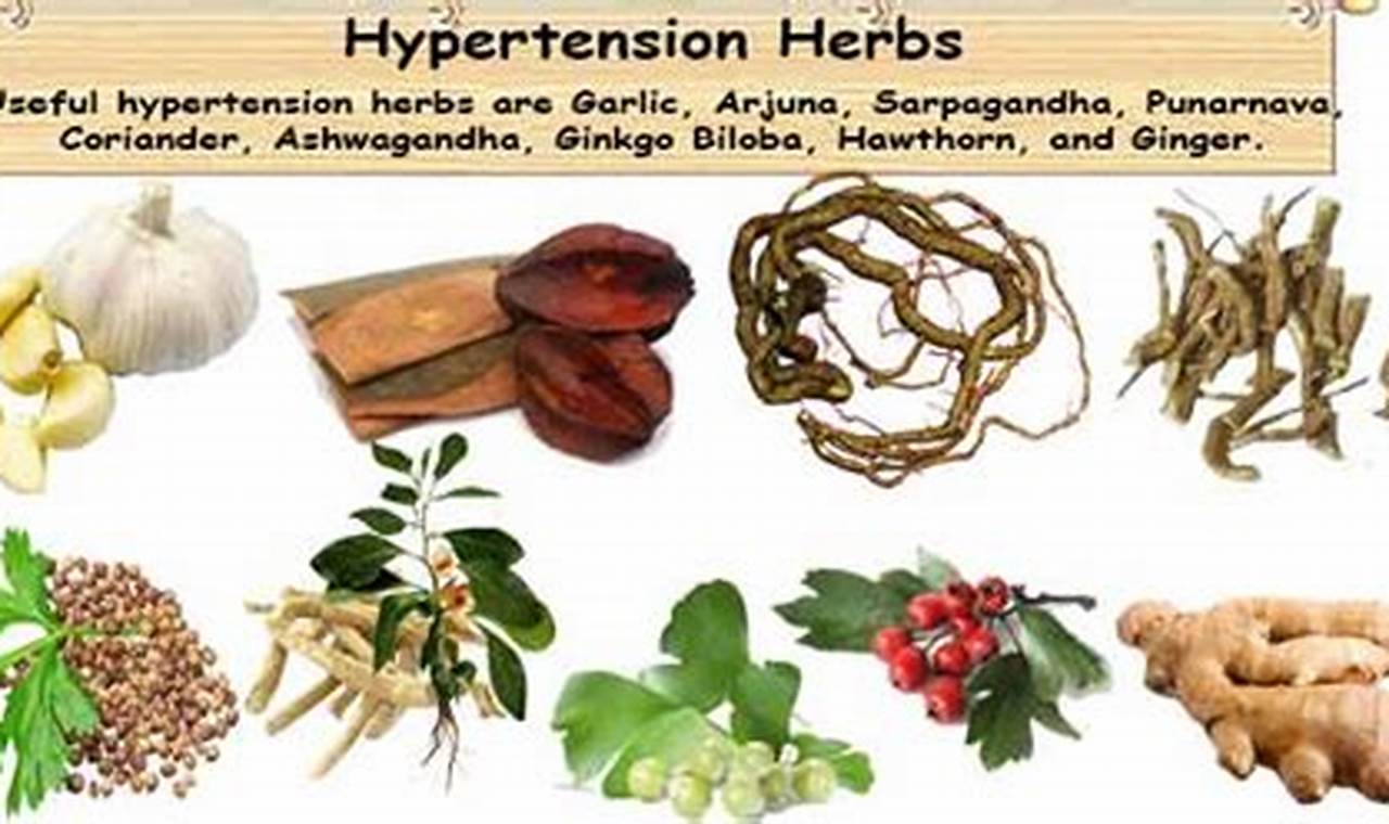 Natural Herbal Treatment for Hypertension Relief The Ultimate Herbal Remedies Guide: Natural Healing for a Healthier Life Natural Herbal Treatment for Hypertension Relief | The Ultimate Herbal Remedies Guide: Natural Healing for a Healthier Life