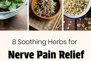 Natural Herbal Treatment for Nerve Pain Relief | The Ultimate Herbal Remedies Guide: Natural Healing for a Healthier Life