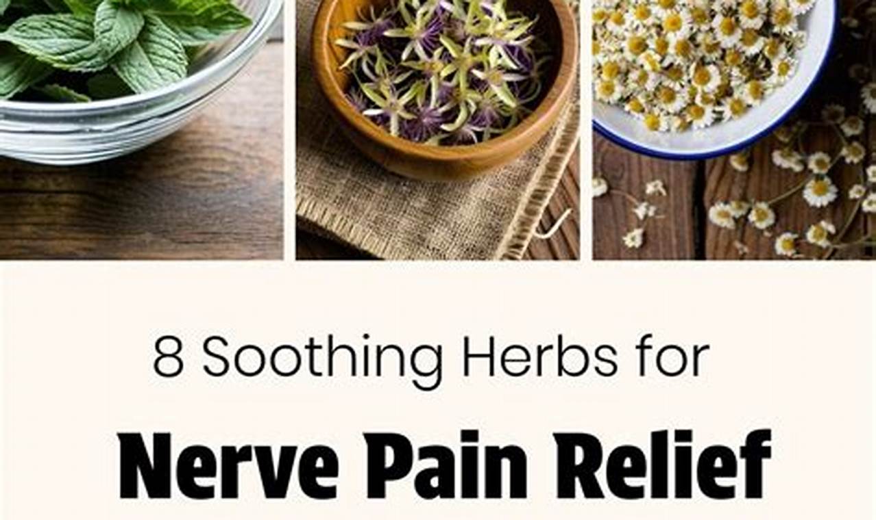 Natural Herbal Treatment for Nerve Pain Relief | The Ultimate Herbal Remedies Guide: Natural Healing for a Healthier Life