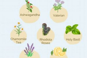 Natural Herbal Remedies for Anxiety &amp; Stress Relief | The Ultimate Herbal Remedies Guide: Natural Healing for a Healthier Life