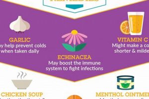 Best Herbal Remedies for Flu Virus: Relief Now! The Ultimate Herbal Remedies Guide: Natural Healing for a Healthier Life Best Herbal Remedies for Flu Virus: Relief Now! | The Ultimate Herbal Remedies Guide: Natural Healing for a Healthier Life