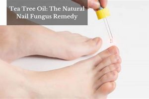 Natural Herbal Remedy for Nail Fungus: Cure & Tips | The Ultimate Herbal Remedies Guide: Natural Healing for a Healthier Life