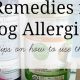 Natural Herbal Remedies for Dog Allergies: Relief Tips | The Ultimate Herbal Remedies Guide: Natural Healing for a Healthier Life