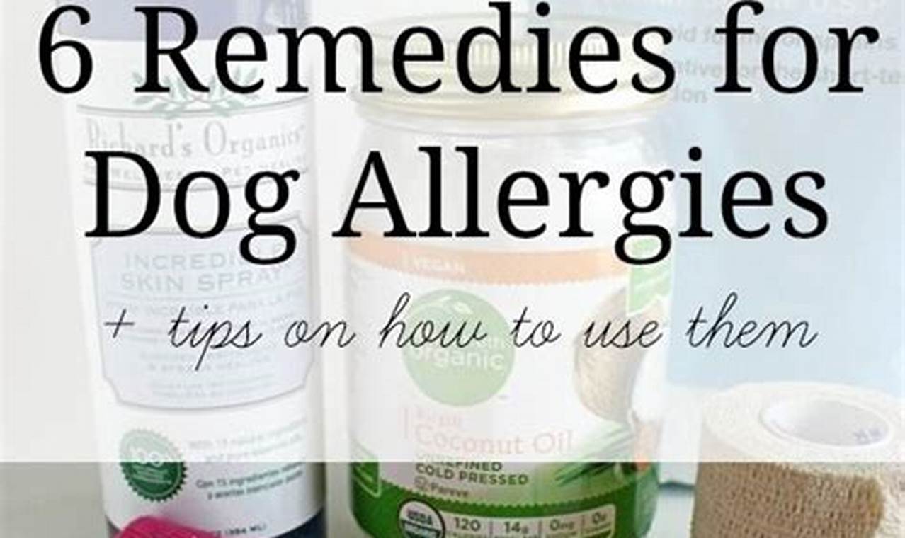 Natural Herbal Remedies for Dog Allergies: Relief Tips The Ultimate Herbal Remedies Guide: Natural Healing for a Healthier Life Natural Herbal Remedies for Dog Allergies: Relief Tips | The Ultimate Herbal Remedies Guide: Natural Healing for a Healthier Life