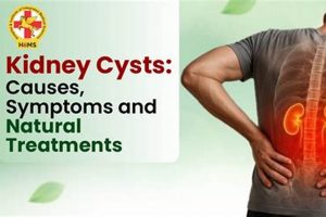 Natural Kidney Cyst Herbal Treatment: Relief &amp; Support | The Ultimate Herbal Remedies Guide: Natural Healing for a Healthier Life