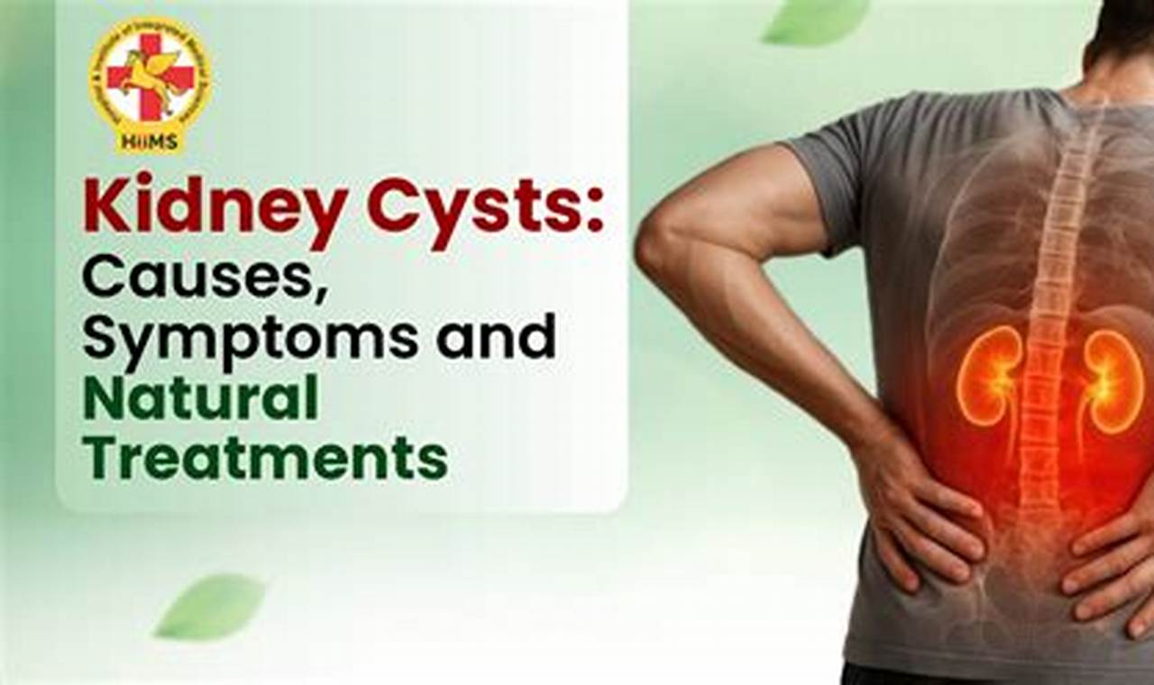 Natural Kidney Cyst Herbal Treatment: Relief & Support The Ultimate Herbal Remedies Guide: Natural Healing for a Healthier Life Natural Kidney Cyst Herbal Treatment: Relief & Support | The Ultimate Herbal Remedies Guide: Natural Healing for a Healthier Life