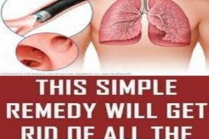Natural Herbal Remedy for Phlegm in Throat: Relief Tips The Ultimate Herbal Remedies Guide: Natural Healing for a Healthier Life Natural Herbal Remedy for Phlegm in Throat: Relief Tips | The Ultimate Herbal Remedies Guide: Natural Healing for a Healthier Life