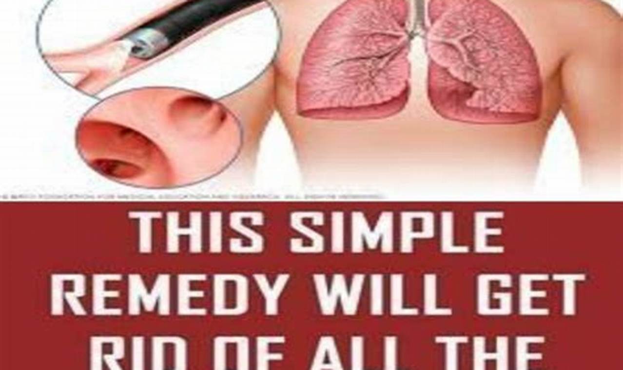 Natural Herbal Remedy for Phlegm in Throat: Relief Tips The Ultimate Herbal Remedies Guide: Natural Healing for a Healthier Life Natural Herbal Remedy for Phlegm in Throat: Relief Tips | The Ultimate Herbal Remedies Guide: Natural Healing for a Healthier Life