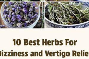 Natural Herbal Remedies for Vertigo & Dizziness Relief | The Ultimate Herbal Remedies Guide: Natural Healing for a Healthier Life