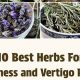 Natural Herbal Remedies for Vertigo & Dizziness Relief | The Ultimate Herbal Remedies Guide: Natural Healing for a Healthier Life