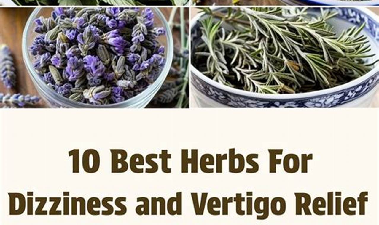 Natural Herbal Remedies for Vertigo & Dizziness Relief The Ultimate Herbal Remedies Guide: Natural Healing for a Healthier Life Natural Herbal Remedies for Vertigo & Dizziness Relief | The Ultimate Herbal Remedies Guide: Natural Healing for a Healthier Life