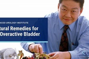 Natural Herbal Remedy for Overactive Bladder: Relief Tips | The Ultimate Herbal Remedies Guide: Natural Healing for a Healthier Life