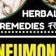 Natural Herbal Remedies for Pneumonia: Relief & Support | The Ultimate Herbal Remedies Guide: Natural Healing for a Healthier Life