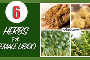 Natural Herbal Remedies to Increase Female Libido Boost The Ultimate Herbal Remedies Guide: Natural Healing for a Healthier Life Natural Herbal Remedies to Increase Female Libido Boost | The Ultimate Herbal Remedies Guide: Natural Healing for a Healthier Life