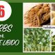 Natural Herbal Remedies to Increase Female Libido Boost | The Ultimate Herbal Remedies Guide: Natural Healing for a Healthier Life
