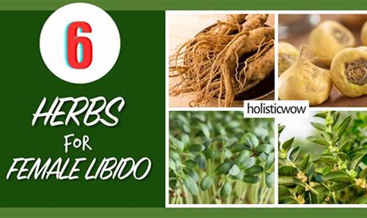 Natural Herbal Remedies to Increase Female Libido Boost The Ultimate Herbal Remedies Guide: Natural Healing for a Healthier Life Natural Herbal Remedies to Increase Female Libido Boost | The Ultimate Herbal Remedies Guide: Natural Healing for a Healthier Life