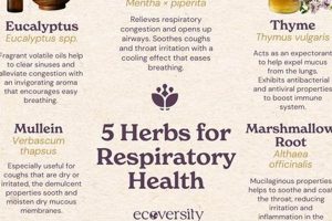 Natural Herbal Treatment for Lungs: Breathe Easier Guide The Ultimate Herbal Remedies Guide: Natural Healing for a Healthier Life Natural Herbal Treatment for Lungs: Breathe Easier Guide | The Ultimate Herbal Remedies Guide: Natural Healing for a Healthier Life