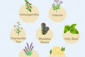 Natural Herbal Anxiety Treatment: Relief & Remedies | The Ultimate Herbal Remedies Guide: Natural Healing for a Healthier Life