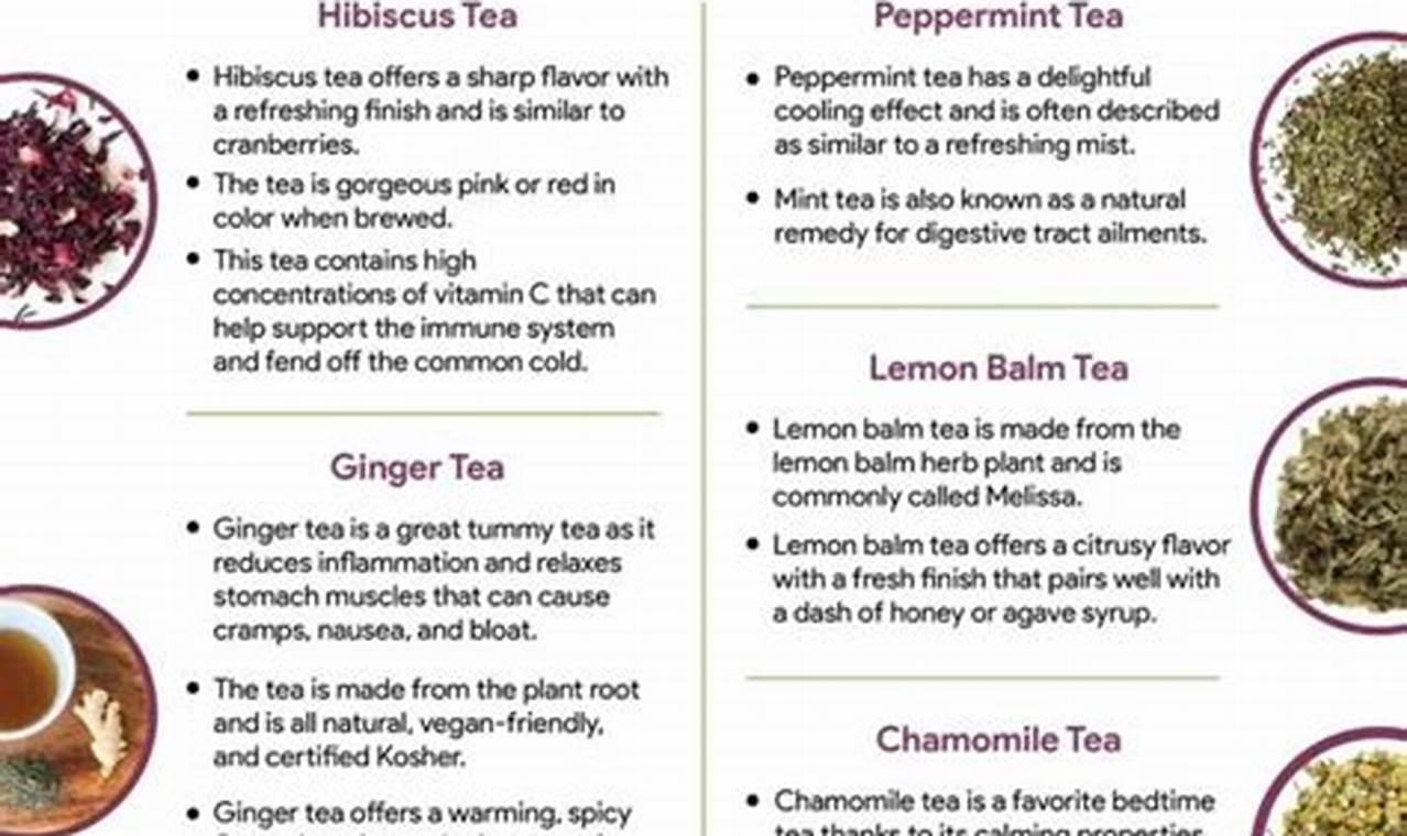 Top Picks: What Are the Best Herbal Teas? | Guide | The Ultimate Herbal Remedies Guide: Natural Healing for a Healthier Life