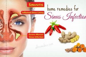 Natural Herbal Remedies for Sinus Infection Relief | The Ultimate Herbal Remedies Guide: Natural Healing for a Healthier Life