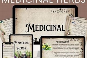 Your Herbal Medication Guide: Uses & Safety Tips | The Ultimate Herbal Remedies Guide: Natural Healing for a Healthier Life
