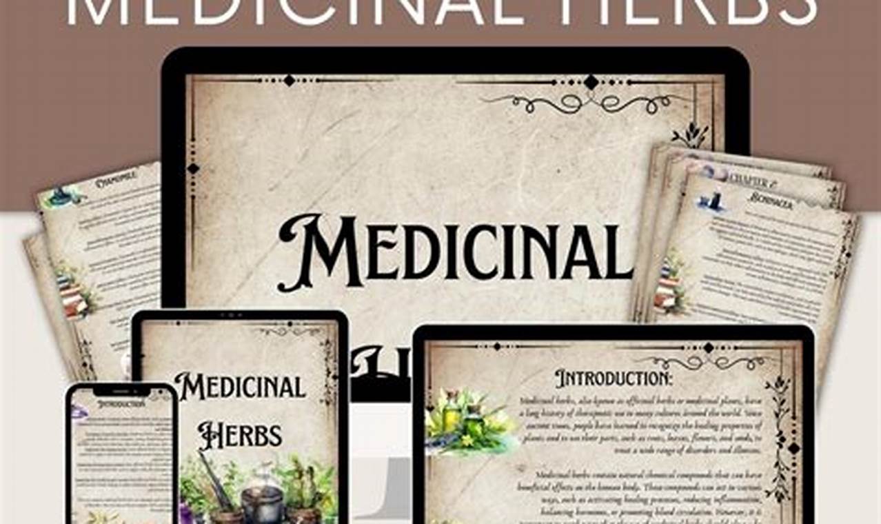 Your Herbal Medication Guide: Uses & Safety Tips | The Ultimate Herbal Remedies Guide: Natural Healing for a Healthier Life