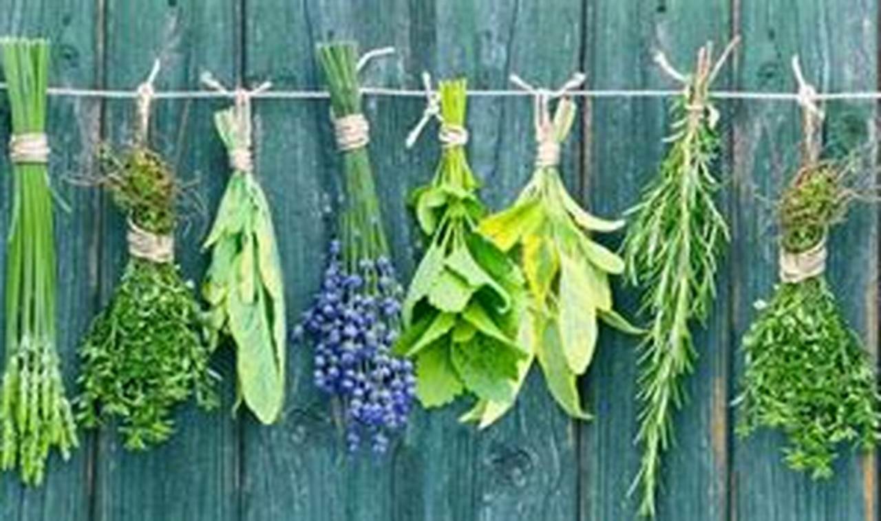 Exploring Herbal Synonym: Terms &amp; Alternatives | The Ultimate Herbal Remedies Guide: Natural Healing for a Healthier Life