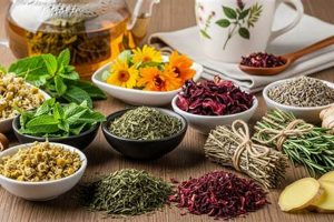 Best Herbal Tea for Digestive Health: Your Guide | The Ultimate Herbal Remedies Guide: Natural Healing for a Healthier Life