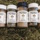 Discover Misty Meadows Herbal Center: Your Herbal Oasis | The Ultimate Herbal Remedies Guide: Natural Healing for a Healthier Life