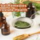 Natural Herbal Remedies for Prostate Health Today | The Ultimate Herbal Remedies Guide: Natural Healing for a Healthier Life