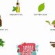 Natural SIBO Treatment Herbal Remedy Guide | The Ultimate Herbal Remedies Guide: Natural Healing for a Healthier Life