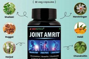 Natural Herbal Supplements for Arthritis Relief | The Ultimate Herbal Remedies Guide: Natural Healing for a Healthier Life