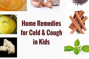 Natural Herbal Remedy for Cough: Relief Today! | The Ultimate Herbal Remedies Guide: Natural Healing for a Healthier Life