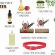 Natural Herbal Remedies for Tick Bites: Soothe the Sting | The Ultimate Herbal Remedies Guide: Natural Healing for a Healthier Life