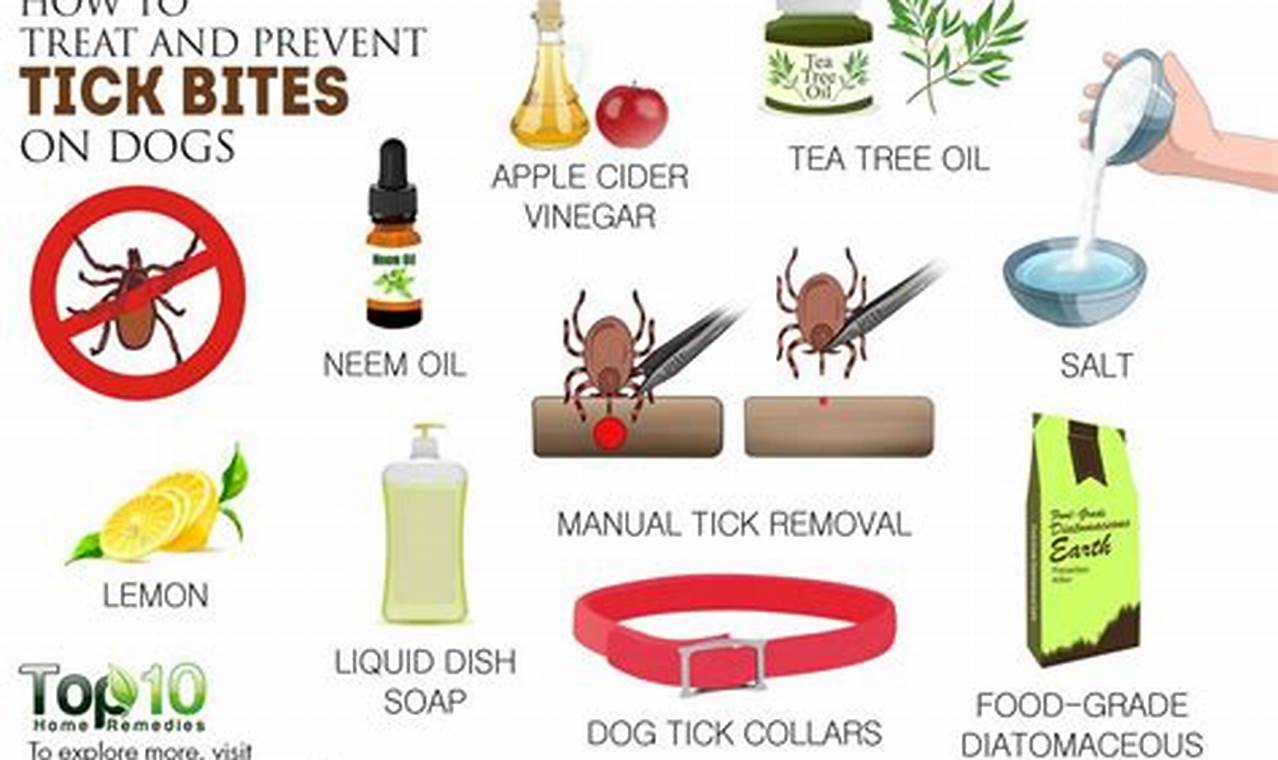 Natural Herbal Remedies for Tick Bites: Soothe the Sting | The Ultimate Herbal Remedies Guide: Natural Healing for a Healthier Life