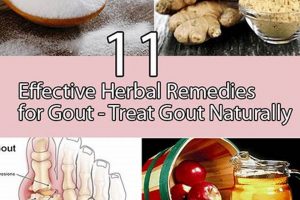 Natural Herbal Remedy for Gout: Relief &amp; Prevention | The Ultimate Herbal Remedies Guide: Natural Healing for a Healthier Life